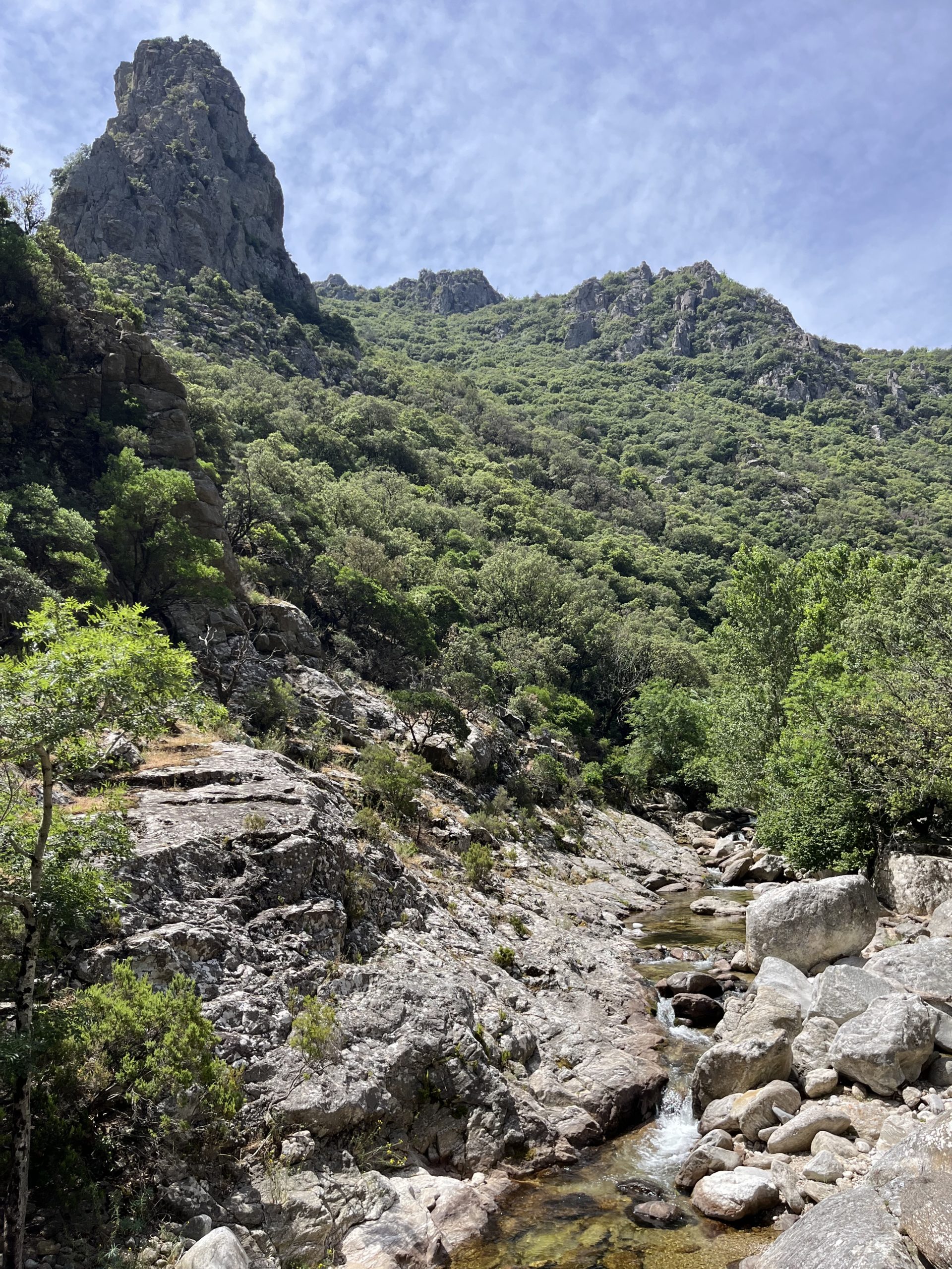 Aménagement et Décoration de chalet - Salon - Cheminée avec photographie de Sébastien Albert (Verbier)